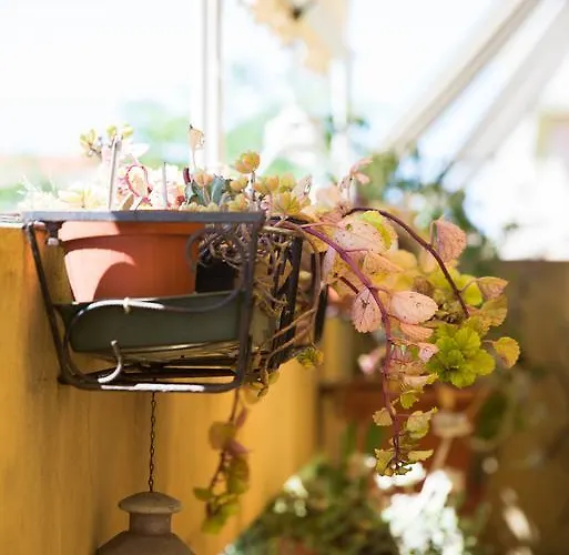 Sa Mama E Su Sole Διαμέρισμα Αλγκέρο